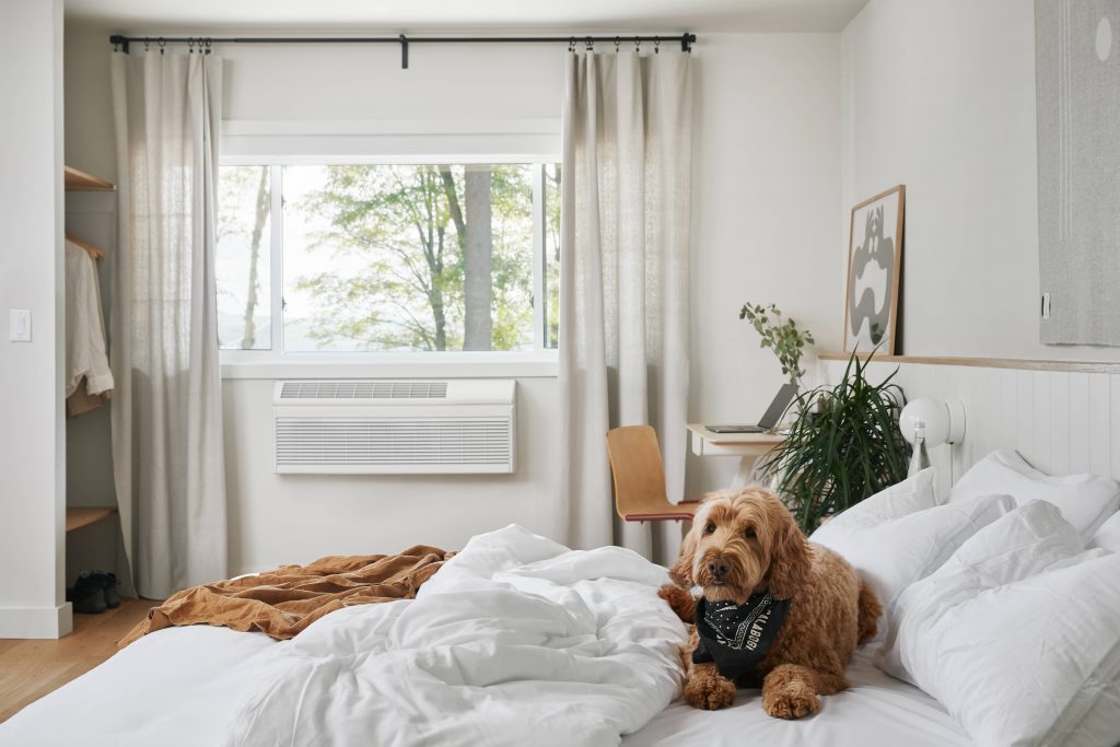 A dog wearing a bandana sits on an unmade bed in a motel room at Somewhere Inn Calabogie.